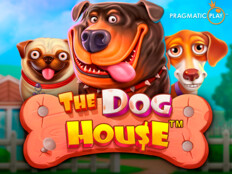 Royal ace casino free spins {WHVRCG}4